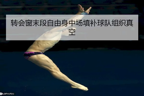 转会窗末段自由身中场填补球队组织真空